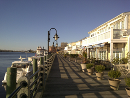 boardwalk along river